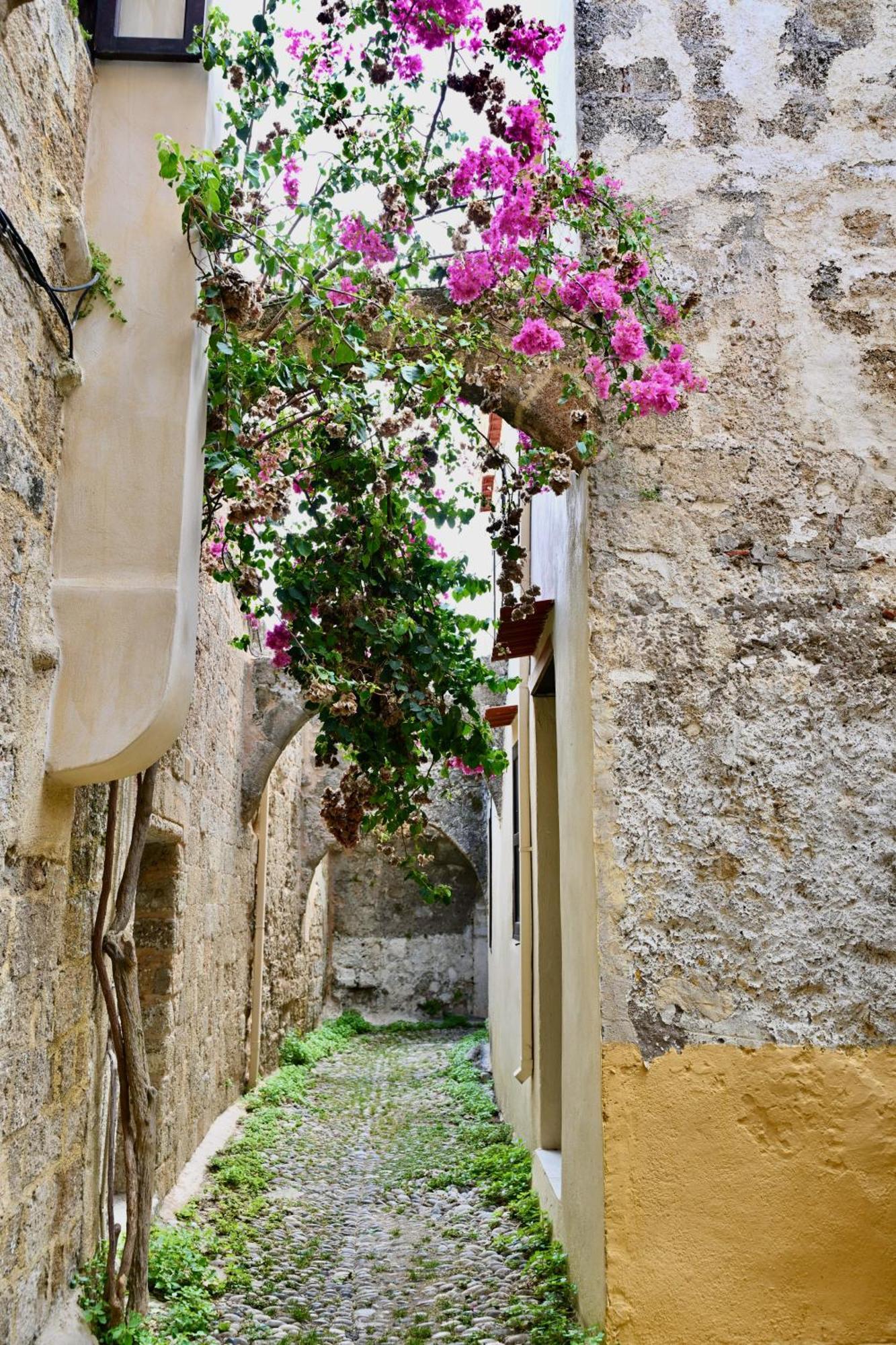Rhodes CityPenelope Garden House Old Town公寓 外观 照片